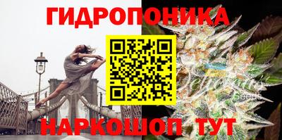 PSILOCYBIN Бугуруслан