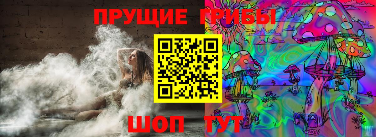 Тольятти  Псилоцибиновые грибы мицелий  Вход с VPN 