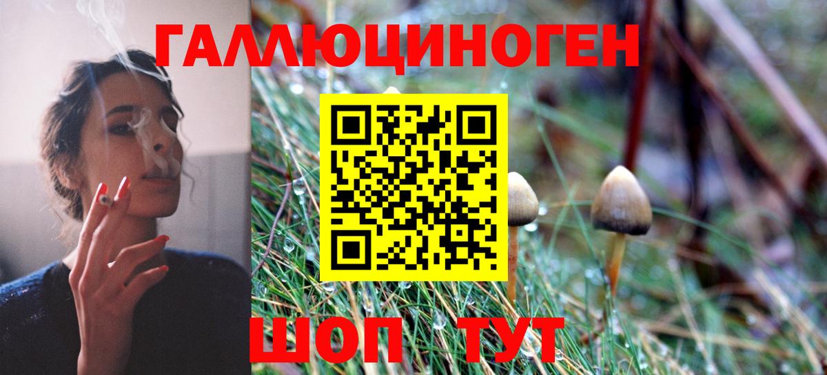 Псилоцибиновые грибы Cubensis Тольятти