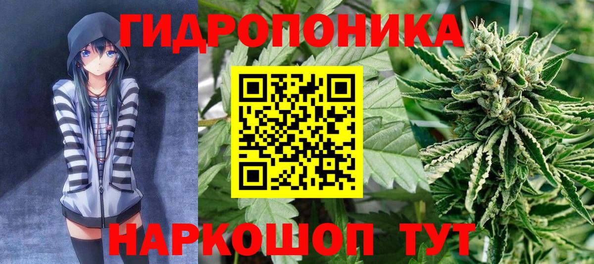 Конопля Amnesia  Вход с VPN  Каннабис конопля  Шишки марихуана VHQ  Тольятти 